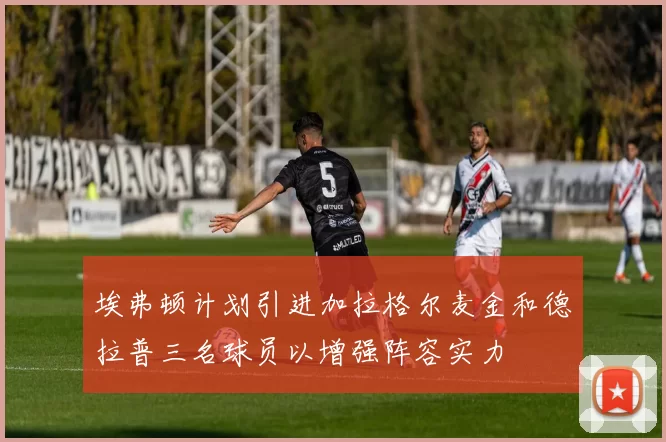 埃弗顿计划引进加拉格尔麦金和德拉普三名球员以增强阵容实力