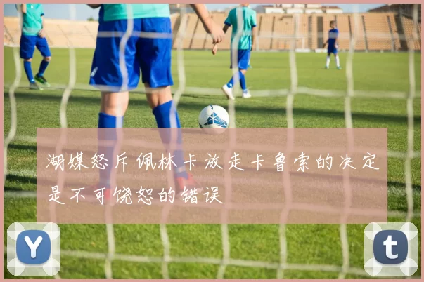 湖媒怒斥佩林卡放走卡鲁索的决定是不可饶恕的错误
